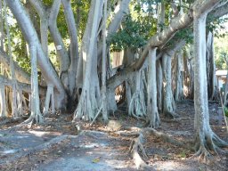 Florida_2007-2008-034